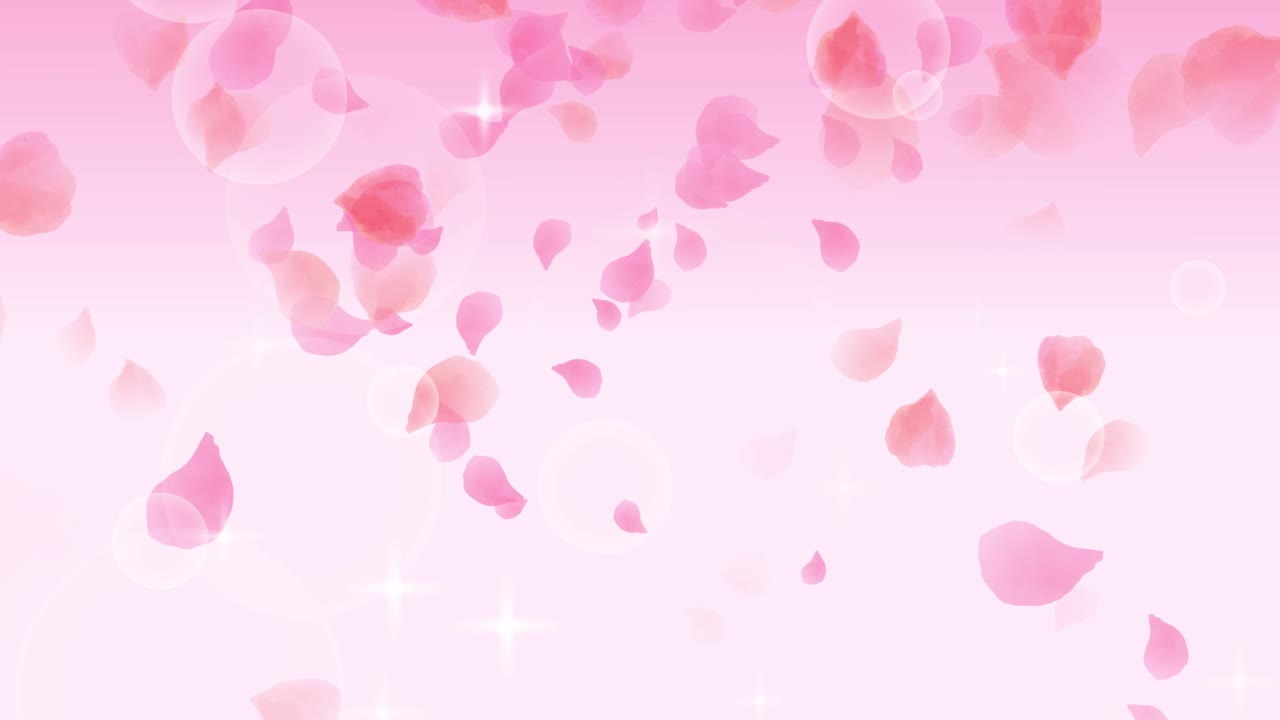 Rose petals falling with light and pink background animation | Premium ...