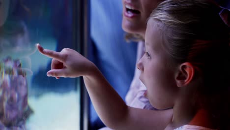 Happy-family-looking-at-fish-tank