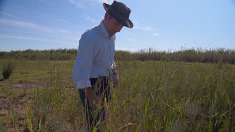 Cowboy-Mann,-Der-Gras-Auf-Einem-Feld-Pflückt