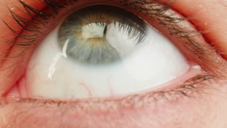 primer plano del ojo de una mujer con maquillaje