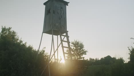 handheld wide shot of a hunting stand in the evening with backlight from the sun