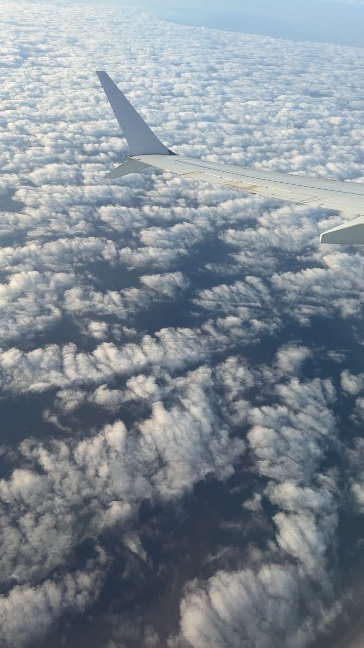 Flyvinge flyver over et stort skylandskab.