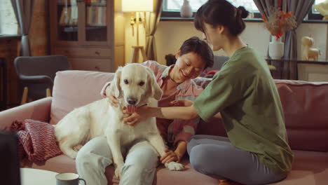 cheerful asian women playing with dog on sofa at home