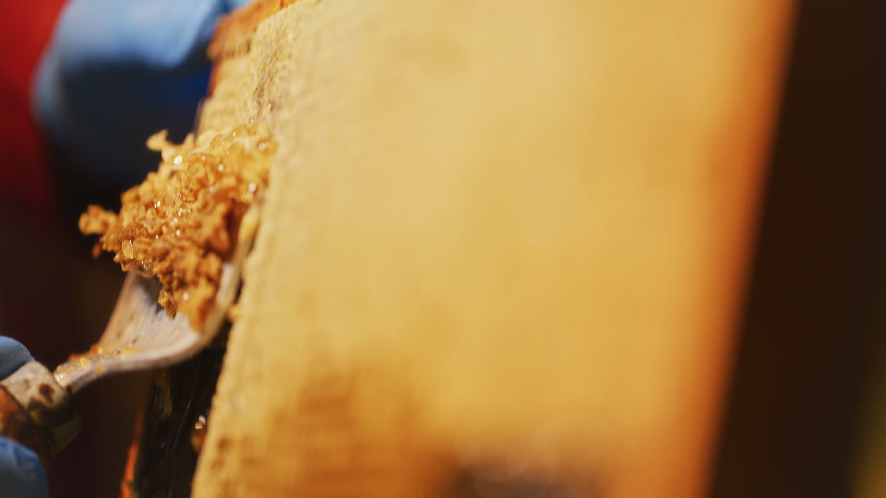 пчеловод отрывает воск и производит мед