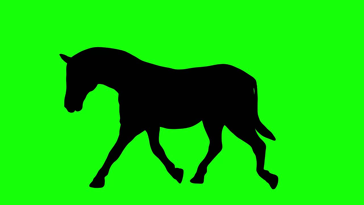 A silhouette of a zebra walking on green screen, side view