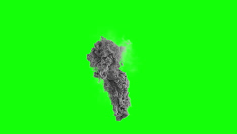 large smoke column evolving rapidly over time with swirl and turbulence on greenscreen