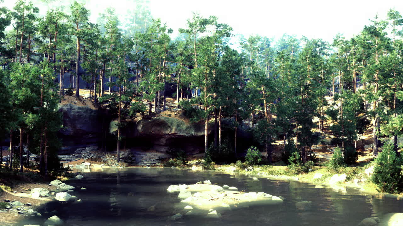 Lush forest landscape with serene river and rocky shore at midday