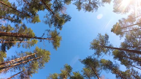 Dando-La-Vuelta-Al-Cielo