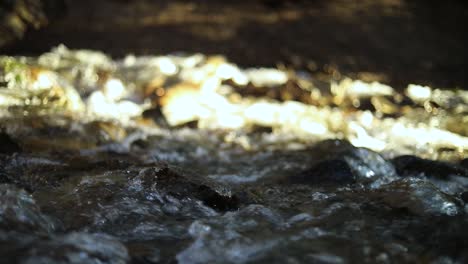 toma en cámara lenta de un río que fluye en las montañas rocosas