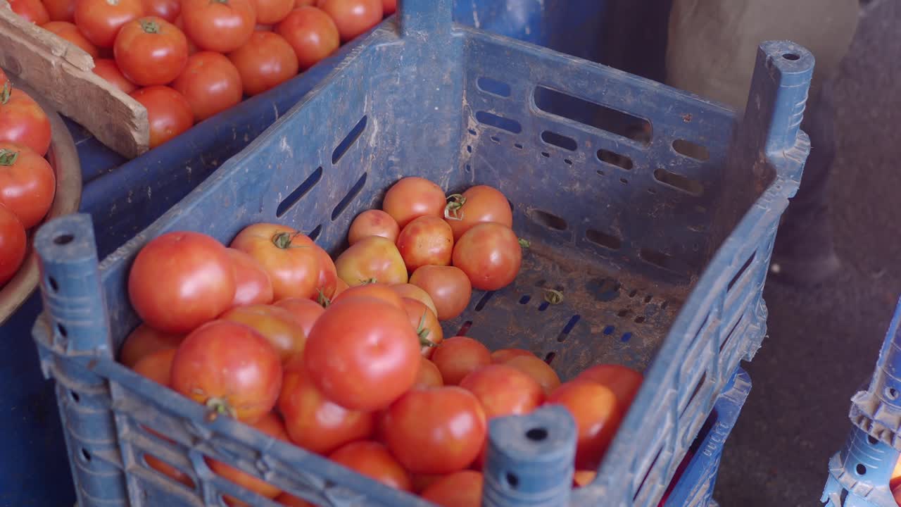 Person picking tomatoes from a crate at a market