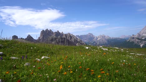 national nature park tre cime in the dolomites alps. beautiful nature of italy.