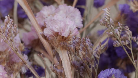 Panning-Of-Dry-Purple-Rose-Flowers-At-Countryside-In-Summer