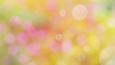 Abstract spring background with bokeh