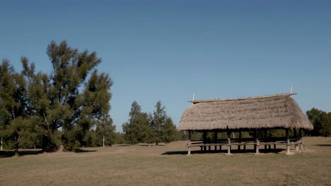 a thatched hut in a grassy field with trees under a clear blue sky