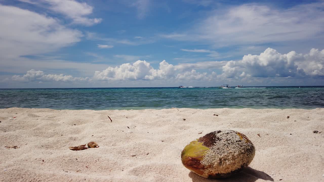 찬란한 푸른 하늘을 배경으로 하얀 모래 해변에 누워 있는 껍질에 모래가 있는 녹색 코코넛