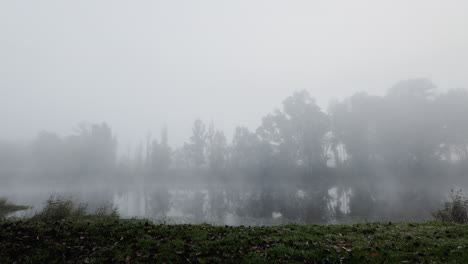 Nature,-fog-and-lake-in-a-forest-with-trees