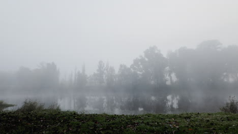 naturaleza, niebla y lago en un bosque con árboles