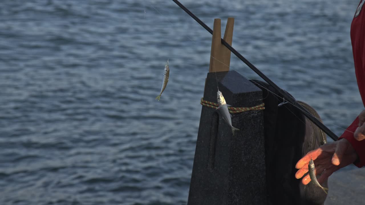 보스포루스 해협에서 시를 하는 어부 들, 갈라타 다리, 바다 전망