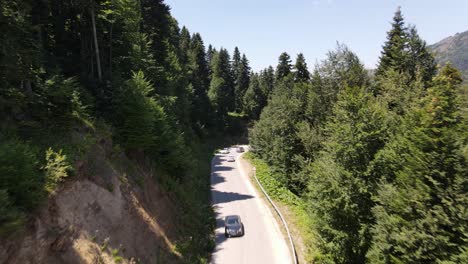 Auto-Fährt-Langsam-Zwischen-Der-Natur