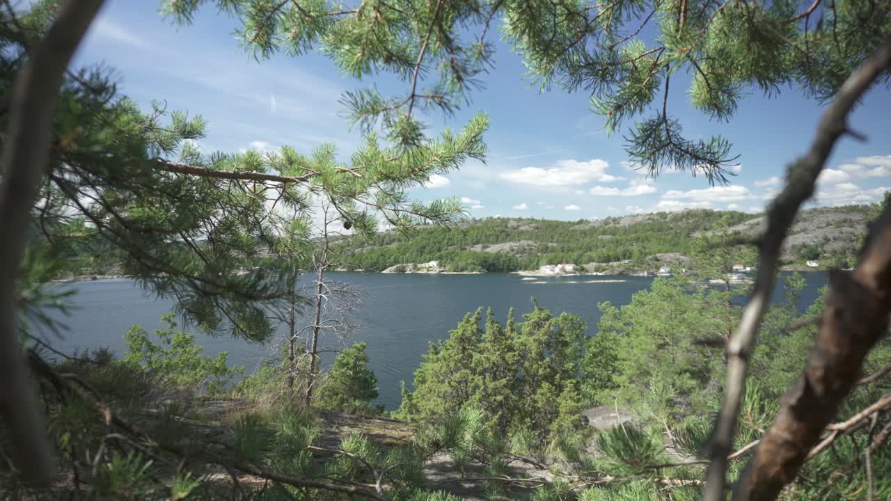 Sjö i höglandslandskap, glidande avslöjande genom vegetation av trädgrenar