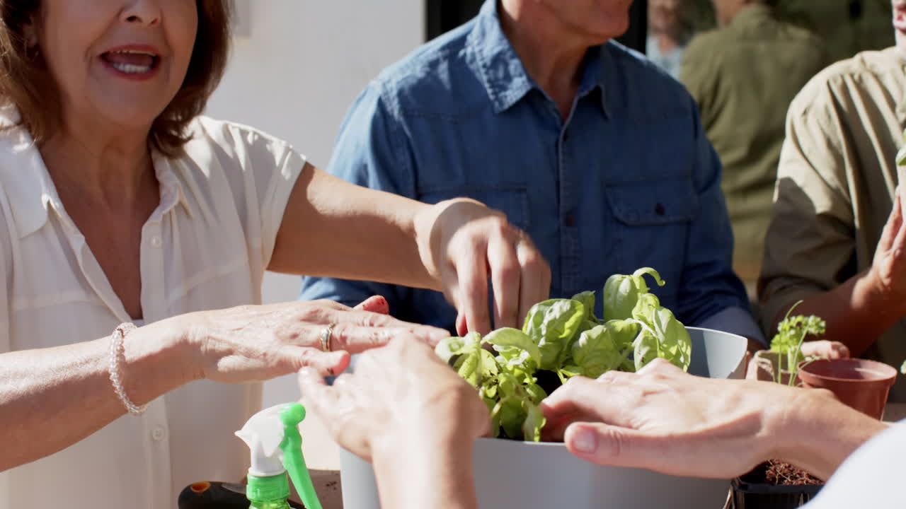 Gardening together, senior friends tending to plants and enjoying outdoor activity