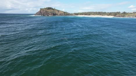 Meereslandschaft-Mit-Großen-Tümmlern-Am-Cabarita-Beach,-New-South-Wales,-Australien-–-Luftaufnahme