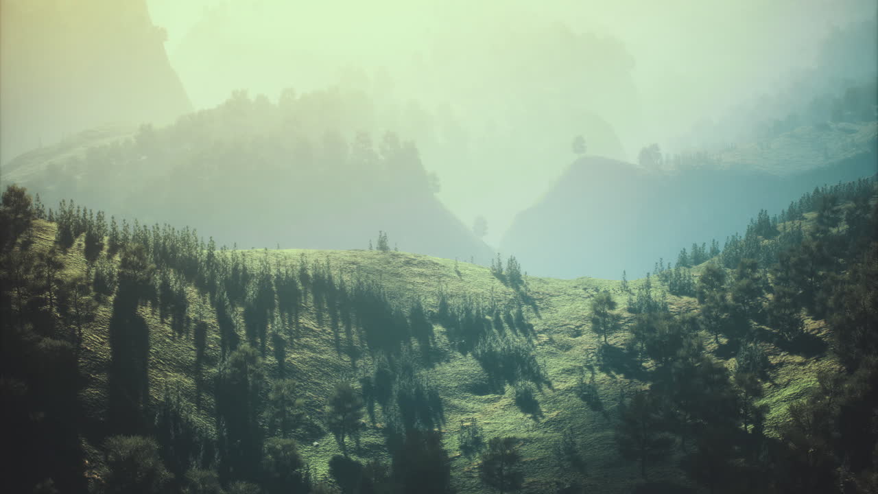 Morning light illuminates the serene green hills and misty valleys
