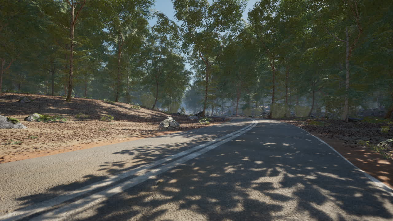 Quiet road winding through a serene forest during daylight hours
