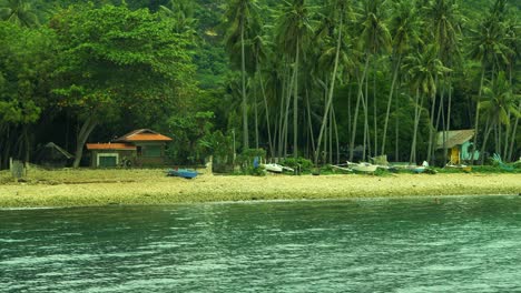 Coconut-tree-in-the-beach