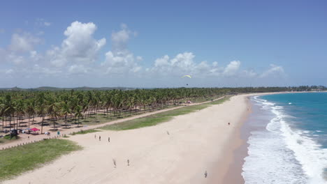 aereo - bellissima spiaggia di porto de galinhas, ipojuca, brasile, forward circle pan