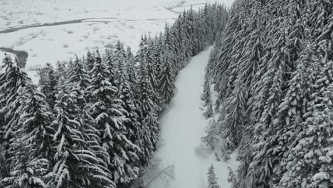 harsh winter in idaho, usa