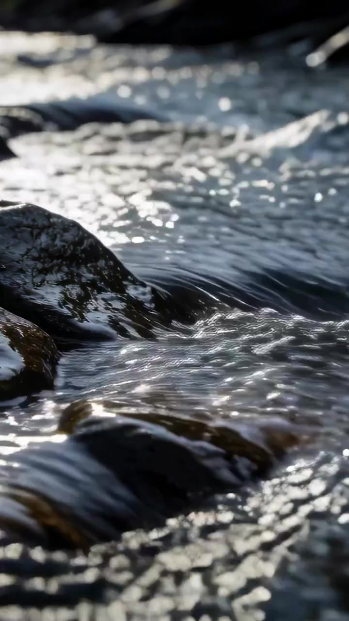 Video verticale: Acqua di ruscello che scorre, muovendosi su rocce scure e bagnate nel torrente, con il sole che luccica