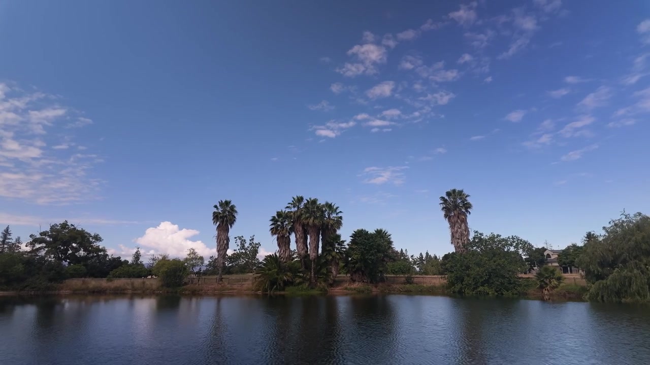 Timelapse cinematografico in movimento con nuvole che si spostano sopra un laghetto calmo circondato da palme e vegetazione lussureggiante in un ambiente esterno tranquillo
