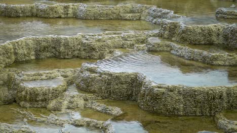 Mammoth-Hot-Springs-Yellowstone-National-Park-Nahaufnahme-Von-Wasser-Kräuselt-Sich-Auf-Den-Terrassen,-Wenn-Es-In-Die-Pools-Fließt