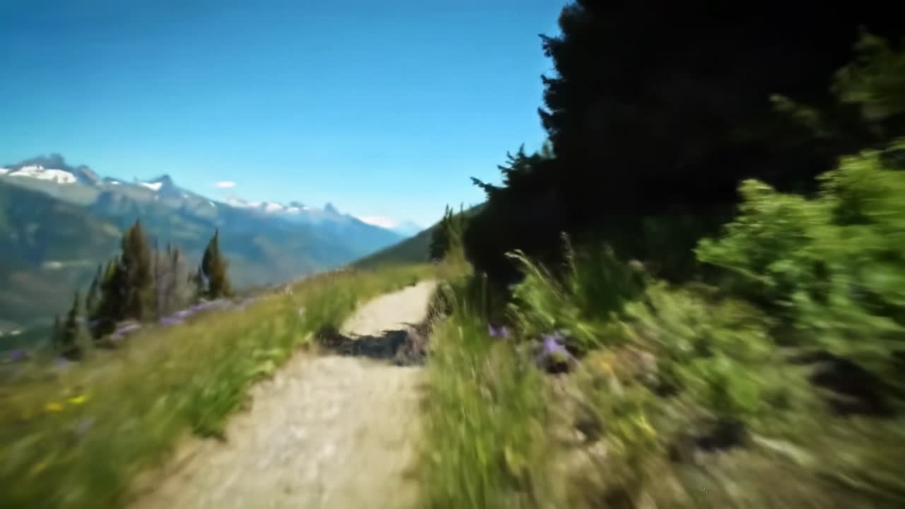 Mountain Trail Through Meadow