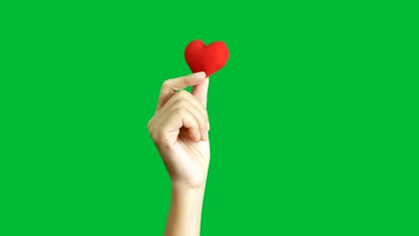 4k. mano de mujer que muestra corazón rojo en aislado en chroma clave pantalla verde fondo