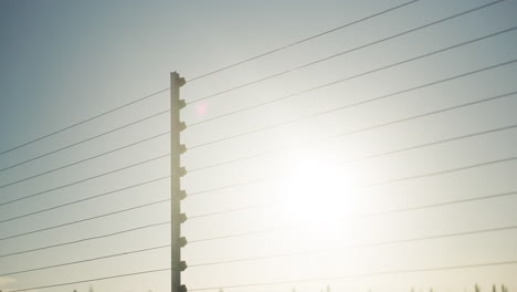 electric fence on a sunny day