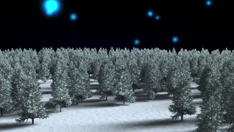 Multiple-trees-on-winter-landscape-over-blue-spots-of-lights-falling-against-black-background