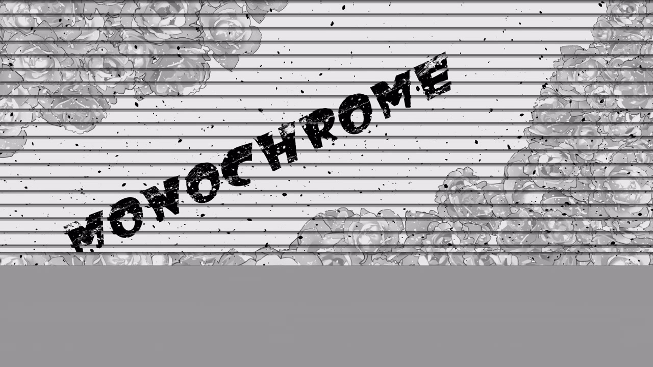 Transizioni otturatore monocromatico. 1080p - 30 fps - Canale Alpha (3)