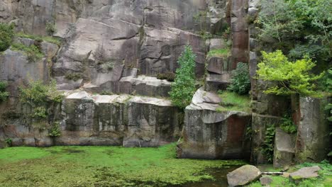 Backwards-moving-footage-from-the-face-of-a-quarry-into-silver-birch-trees