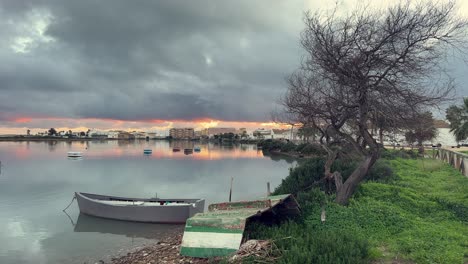 momento tranquilo con un árbol en la orilla de un lago con un barco solo en un día nublado con los colores de la puesta de sol y el sol.