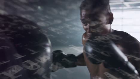 animación de números flotantes sobre un hombre con guantes de boxeo golpeando un saco de boxeo