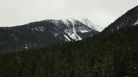 Flying-over-forest-in-Duffey-Lake-Provincial-Park-in-British-Columbia,-Canada