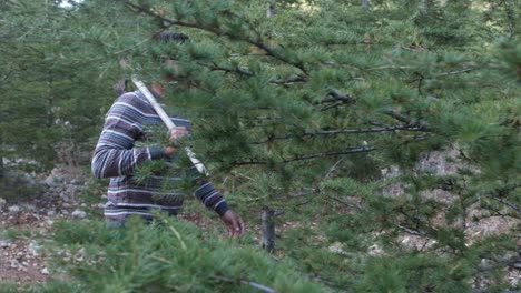 lumberjack carrying axe