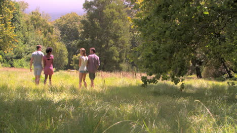 two couples walking together in the countryside