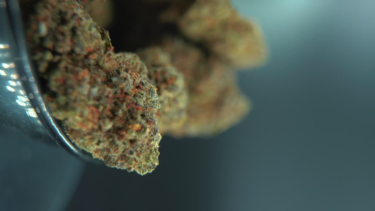 A vertical macro cinematic detailed shot of a cannabis plant, orange hybrid strains, Indica and sativa ,green crispy marijuana flower, on a 360 rotating stand, shiny bowl, 4K video, studio lighting