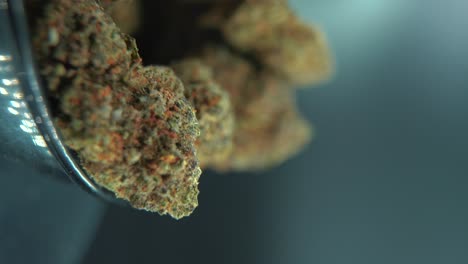 A-vertical-macro-cinematic-detailed-shot-of-a-cannabis-plant,-orange-hybrid-strains,-Indica-and-sativa-,green-crispy-marijuana-flower,-on-a-360-rotating-stand,-shiny-bowl,-4K-video,-studio-lighting