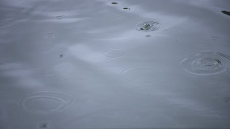 a slow motion of rain drop in the water the pond rainy day closeup