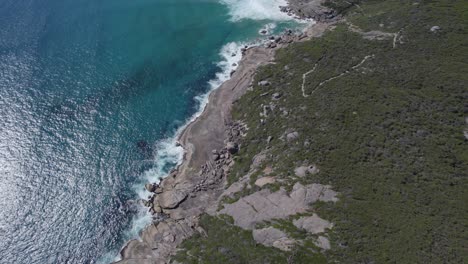 Turquoise-Ocean-And-Rocky-Shore-Of-Squeaky-Beach-In-Wilsons-Promontory-National-Park,-Australia---aerial-drone-shot