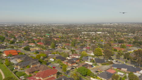 the camera tilts up, capturing a crow flying in front of the camera above a suburban landscape